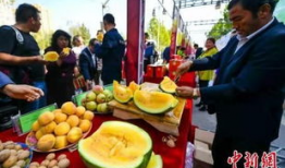 芒市吃瓜最新事件爆料,揭秘背后惊人真相